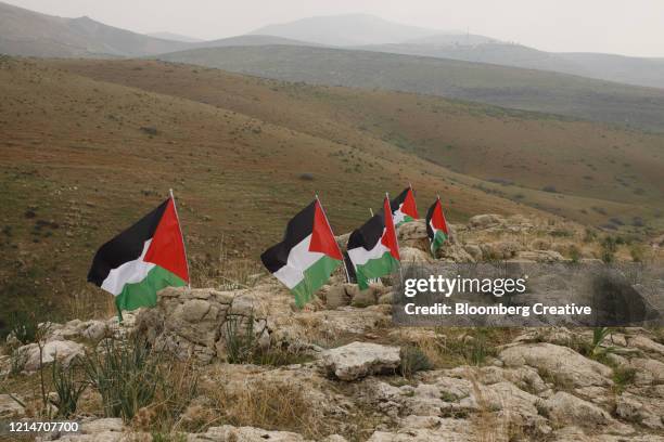 palestinian flags - palästinensische kultur stock-fotos und bilder