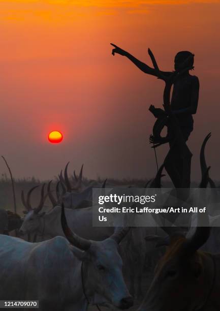 Mundari tribe boy standing on a wood mast to watch his cows in the sunset, Central Equatoria, Terekeka, South Sudan on February 13, 2020 in Terekeka,...