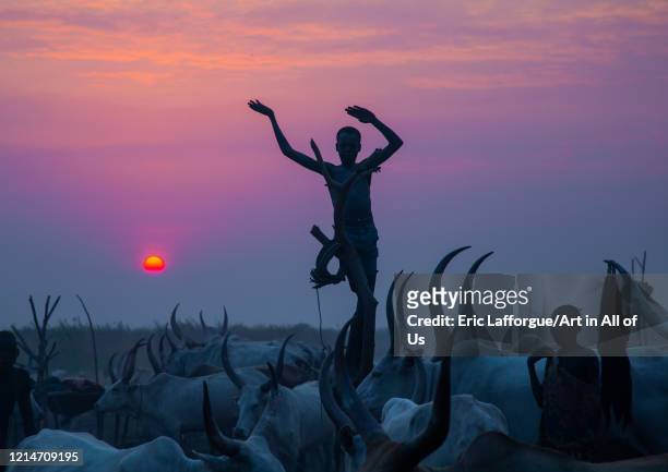 Mundari tribe boy standing on a wood mast mimics the position of horns of his favourite cow, Central Equatoria, Terekeka, South Sudan on February 13,...