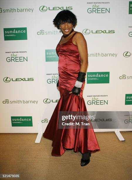 Macy Gray during Sundance Channel Celebrates the Launch of "The Green" - Arrivals at Former LaBrea Chrysler Jeep in Los Angeles, California, United...