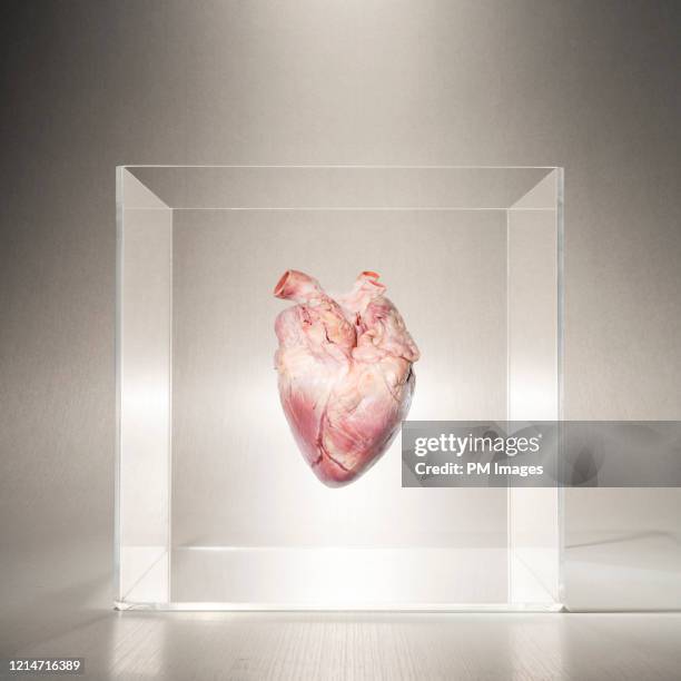 heart in a box - sense organ stock pictures, royalty-free photos & images