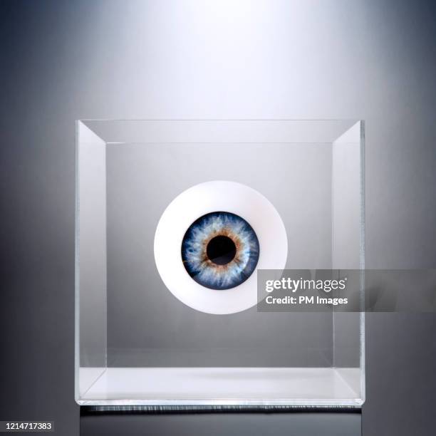 eye in a clear box - glass box stock pictures, royalty-free photos & images