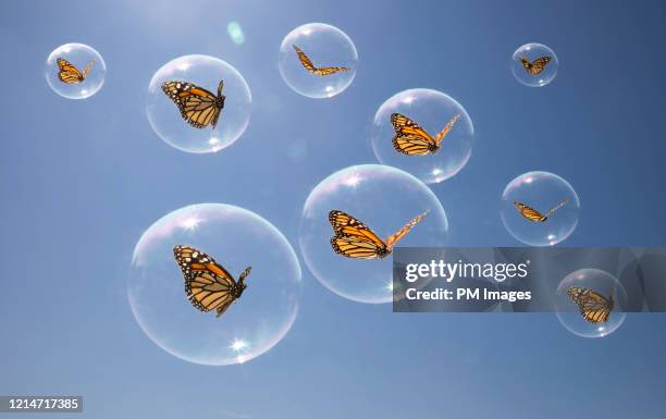 butterflies in there own bubbles - zerbrechlichkeit stock-fotos und bilder
