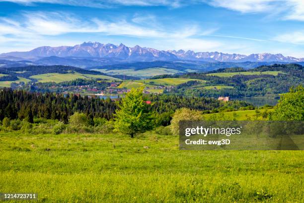 holidays in poland - summer view from the podhale region to the tatra mountains - tatra mountains stock pictures, royalty-free photos & images