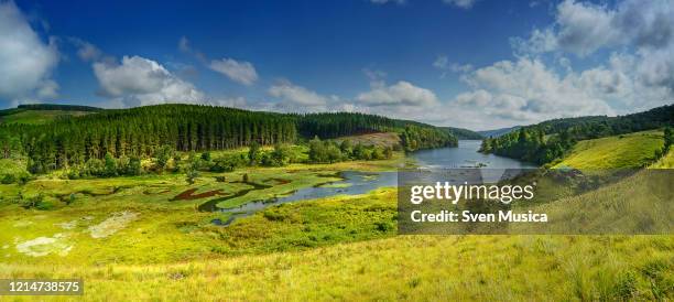 a landscape of a forest lake in south africa - province de mpumalanga photos et images de collection