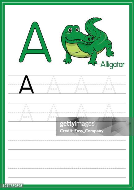 Alligator Script Letter A Script Photos and Premium High Res Pictures - Getty Images