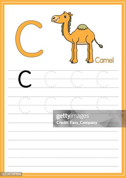 vector illustration of camel with alphabet letter c uppercase for children learning to trace practice abc on a4 paper size ready to print. - hump stock illustrations