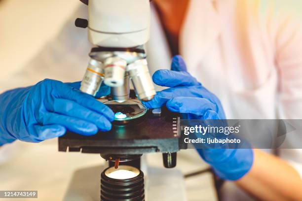 mulheres cientistas pesquisam e procuram microscópio em um laboratório - biopsy - fotografias e filmes do acervo