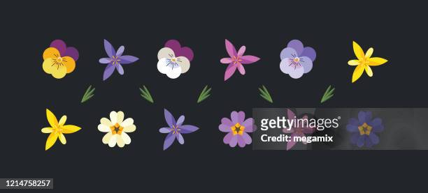 illustrazioni stock, clip art, cartoni animati e icone di tendenza di set di fiori primaverili. - fiore