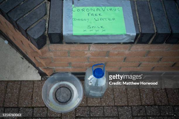 Bowl of dog water outside a house in Penarth Marina on March 25, 2020 in Penarth, United Kingdom. The Coronavirus pandemic has spread to at least 182...