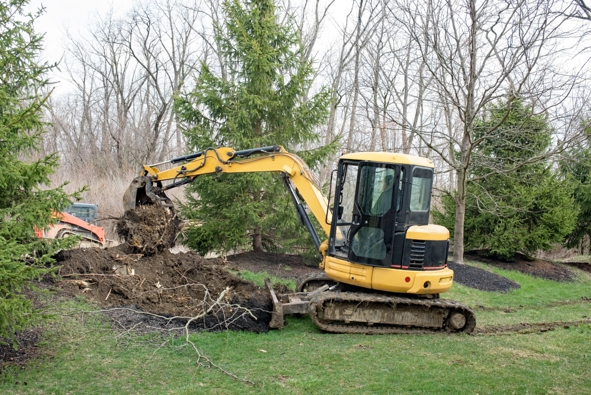 Backhoe Removing Tree Root Backhoe Removing Tree Root
