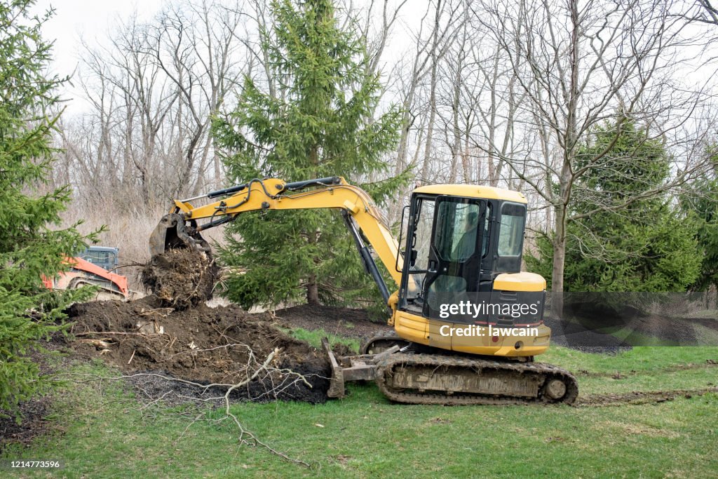Backhoe Move Tree Backhoe Removing Tree Root High-Res Stock Photo - Getty Images