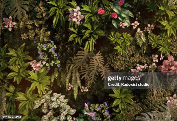 nature background wall with grass leaves and flowers - flower wall stock pictures, royalty-free photos & images