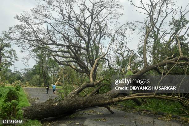 People walk ahead of a tree that has fallen across an alley following the landfall of cyclone Amphan at the Indian Botanical Garden in Kolkata on May...