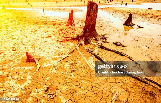 climate change. global warming. sun and burning. heat wave hot sun - climate crisis stock pictures, royalty-free photos & images