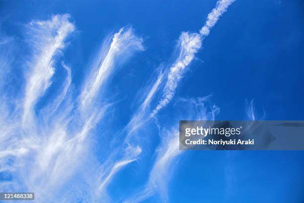 cirrus sky - 巻雲 ストックフォトと画像