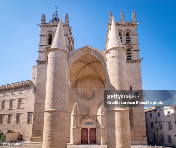 cathédrale saint-pierre de montpellier, france - montpellier stockfoto's en -beelden