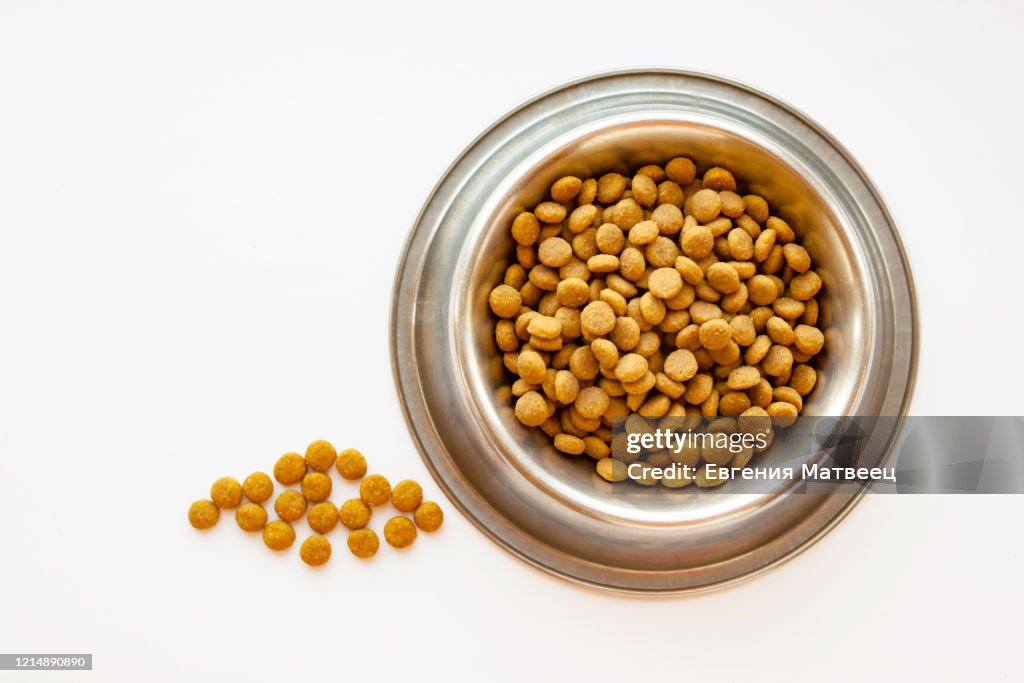 Cats and dogs dry food in metal bowl on white background