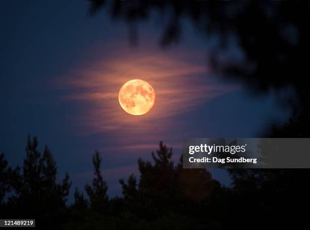 full moon - full moon stock pictures, royalty-free photos & images
