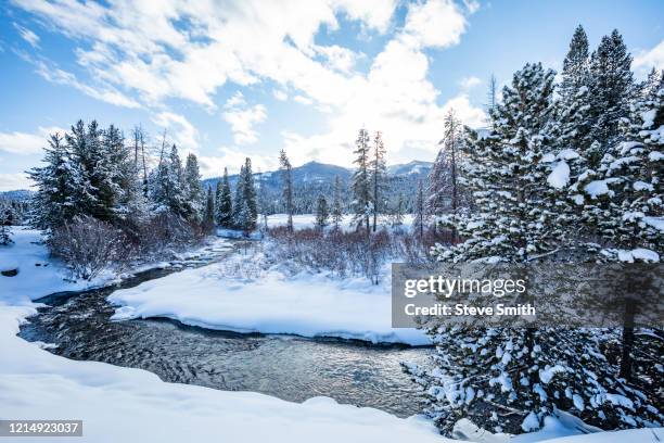 pine trees and snow by river in sun valley, idaho - sun valley idaho stock pictures, royalty-free photos & images
