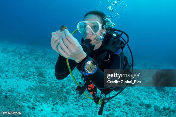 scuba diving scavenger hunt - finding treasure stock pictures, royalty-free photos & images