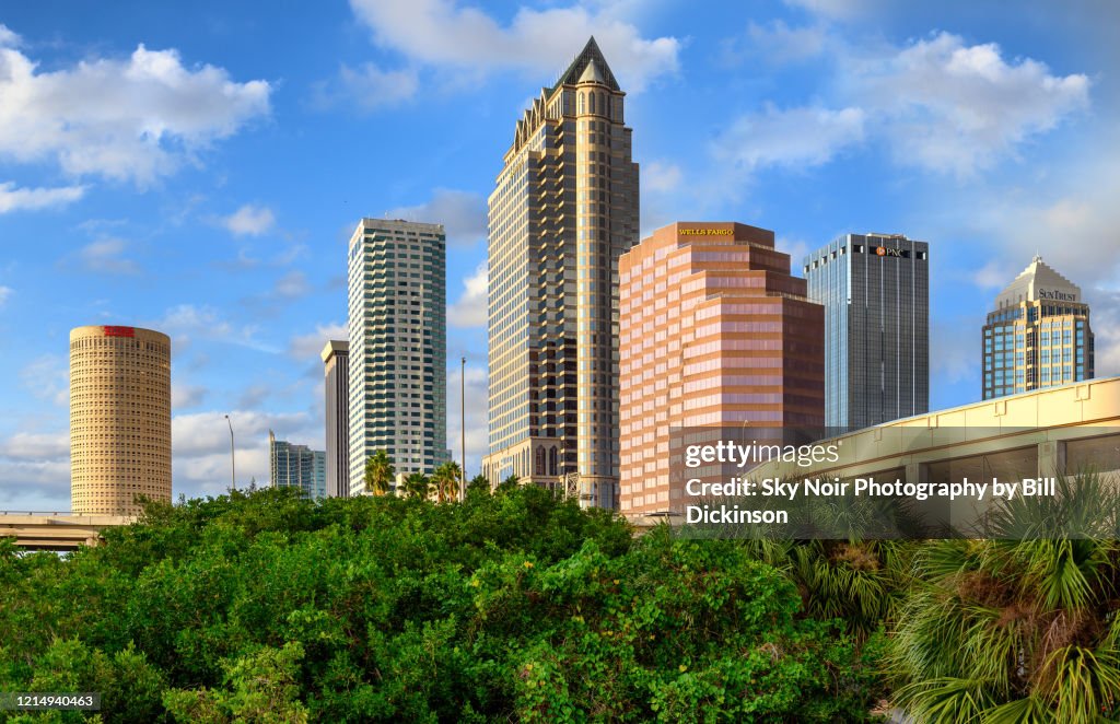 Tampa Day