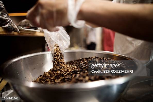JAPAN-FOOD-ANIMAL-CRICKET-ENVIRONMENT JAPAN-FOOD-ANIMAL-CRICKET-ENVIRONMENT