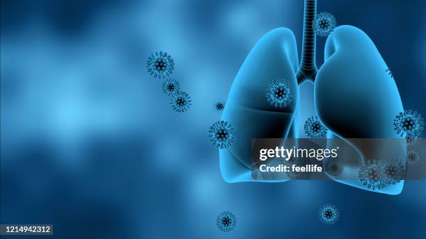 coronavírus no pulmão - pulmão sistema respiratório humano - fotografias e filmes do acervo