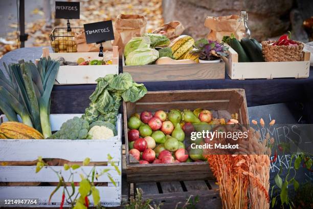 high angle view of freshly produce vegetables at market stall - winter vegetables foto e immagini stock