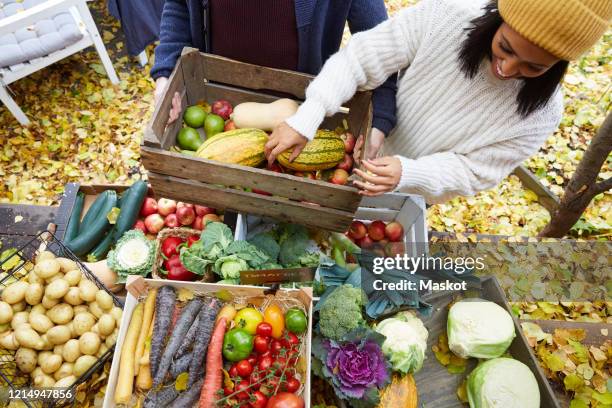 high angle view of smiling woman arranging pumpkin in basket at yard - fall harvest fotografías e imágenes de stock