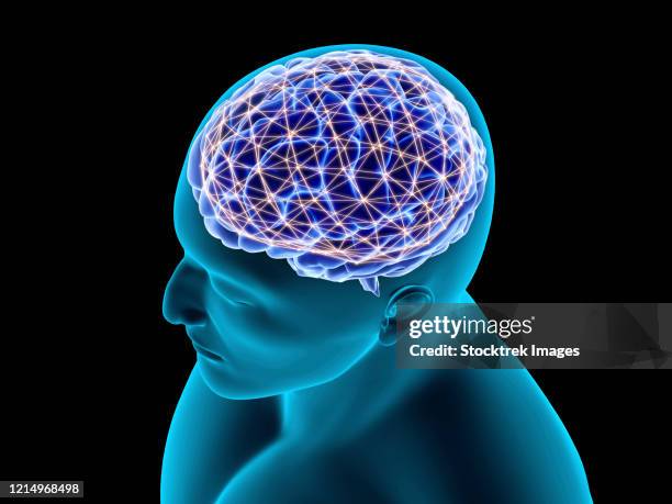 Brain Node Tech Example Brain Nodes Photos and Premium High Res Pictures - Getty Images