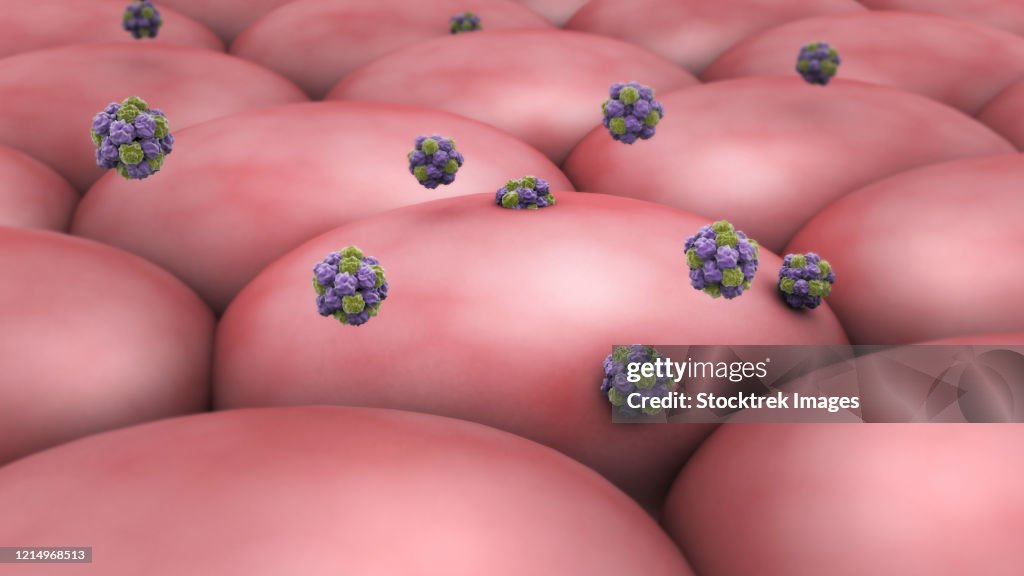 Norovirus attacking cell.
