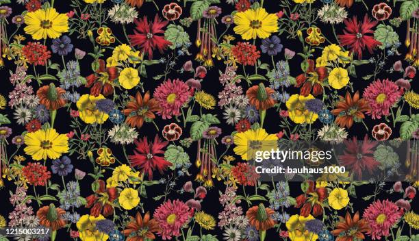 ilustrações de stock, clip art, desenhos animados e ícones de victorian botanical, hand-colored, seamless repeating pattern. realistic blooming isolated flowers vintage fabric background. beautiful cottage garden and wildflowers. wallpaper baroque. drawing engraving. victorian illustration. - victorian backgrounds