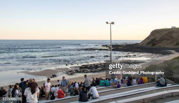 australië: summerland beach - phillip island stockfoto's en -beelden