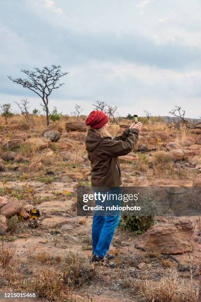 woman (50s) photographing sunset on safari in south africa. - limpopo province stock pictures, royalty-free photos & images