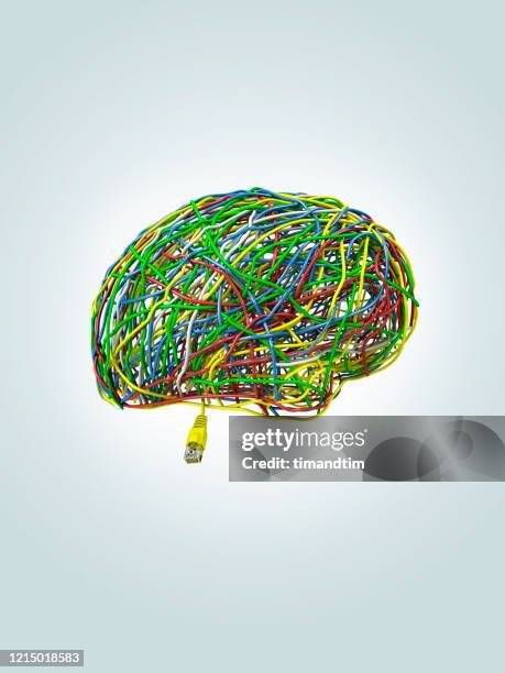 brain made of wires with ethernet plug - plugging in stockfoto's en -beelden