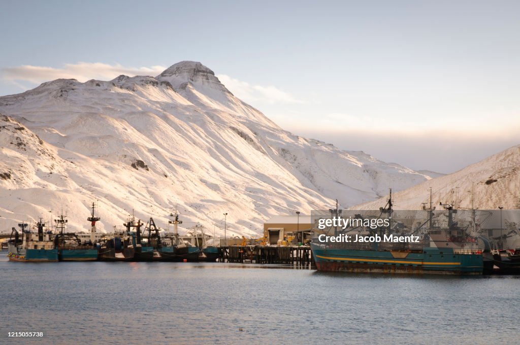 Fish harbor in Dutch Harbor, Alaska