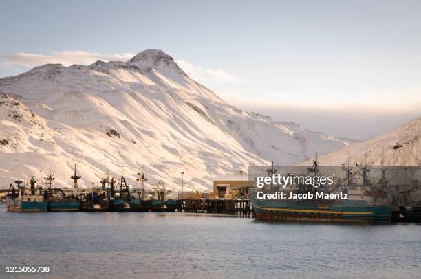 fish harbor in dutch harbor, alaska - dutch harbor 個照片及圖片檔