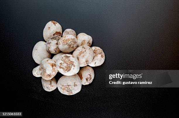 dried white potato - kartoffelblüte nahaufnahme stock-fotos und bilder