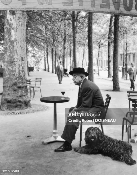Jacques Prevert , French Poet And His Dog, At The Bistro On Quay Saint-Bernard, Paris 5Th District