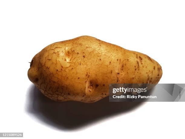 close-up of potatoes on white background - kartoffelblüte nahaufnahme stock-fotos und bilder