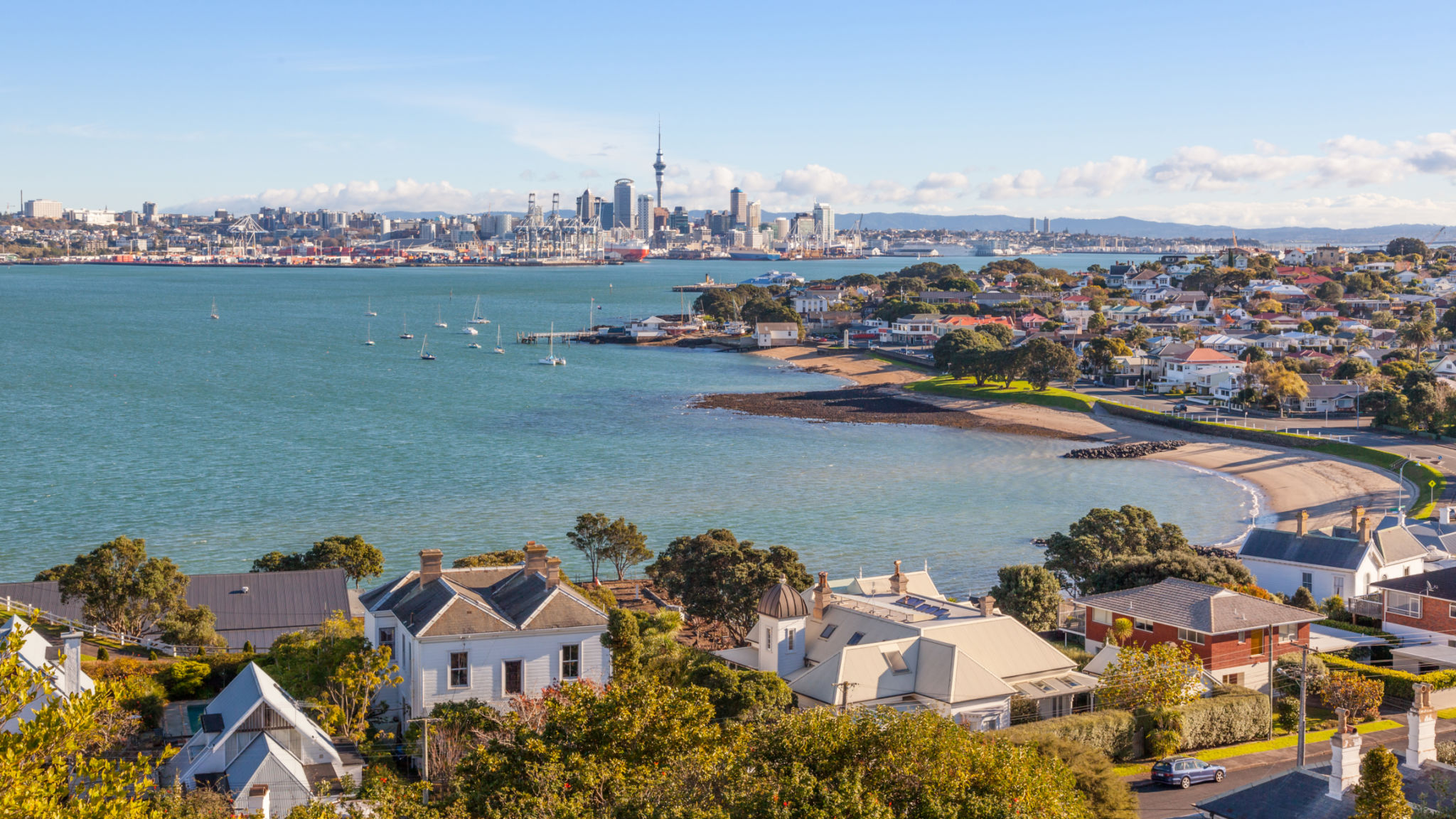 auckland neighborhood