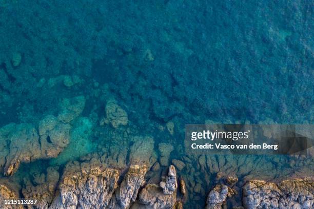 ocean floor - cannes 2019 stock pictures, royalty-free photos & images