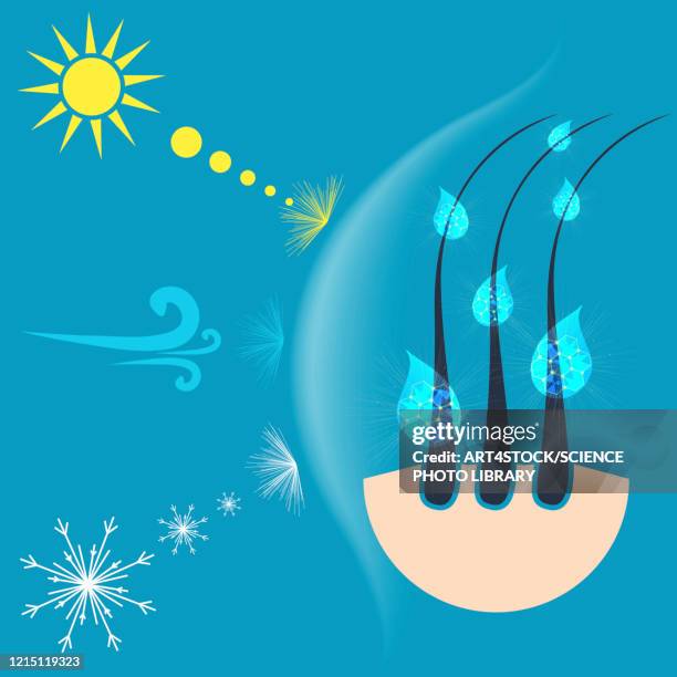 hair protection, conceptual illustration - glatzenbildung stock-grafiken, -clipart, -cartoons und -symbole