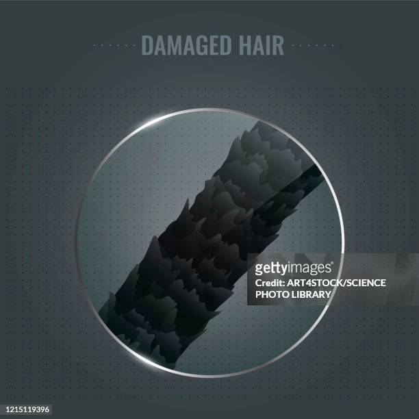 damaged hair surface, illustration - lens optical instrument stock illustrations