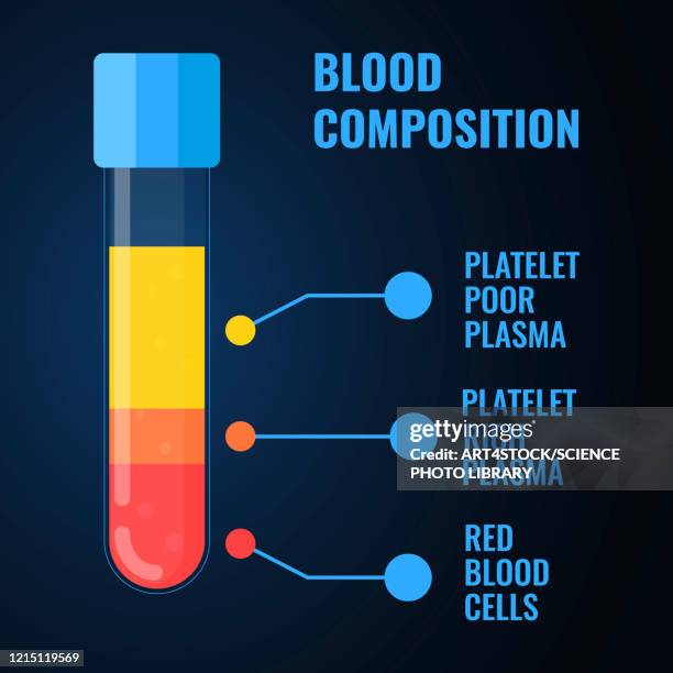 blood composition, illustration - plastic surgery stock illustrations
