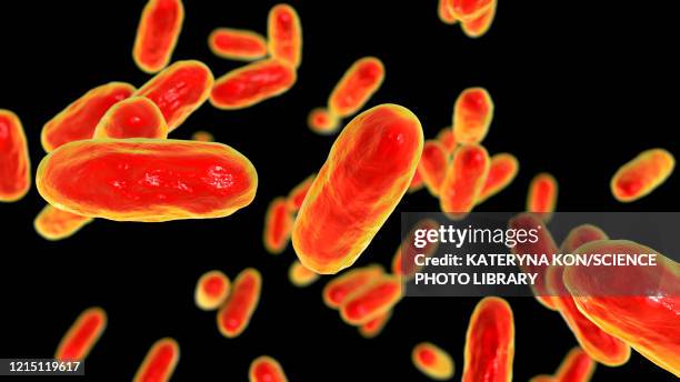 stockillustraties, clipart, cartoons en iconen met whooping cough bacteria, illustration - kinkhoest