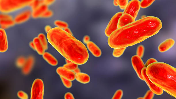 whooping cough bacteria, illustration - whooping-cough stock illustrations