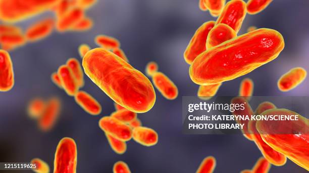 whooping cough bacteria, illustration - diphtheria stock illustrations