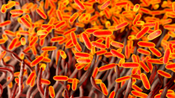 whooping cough bacteria, illustration - whooping-cough stock illustrations